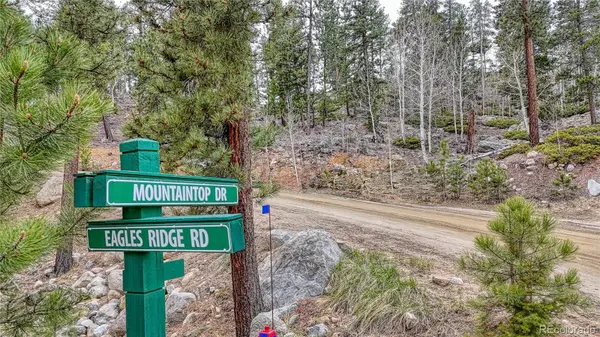 30176 Mountaintop DR, Buena Vista, CO 81211