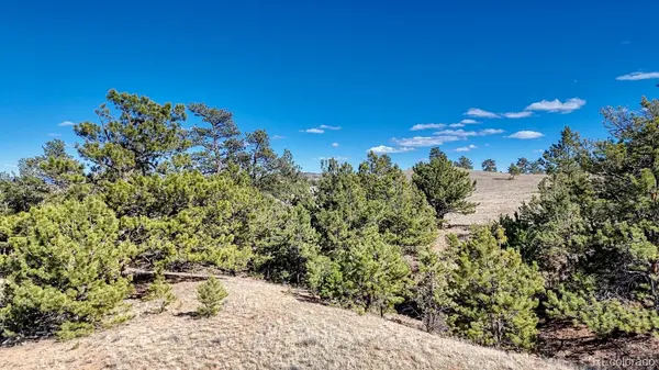 Lot 5090 & 5097 Arikara, Hartsel, CO 80449