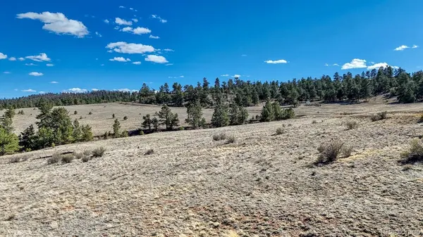 Lot 5090 & 5097 Arikara, Hartsel, CO 80449