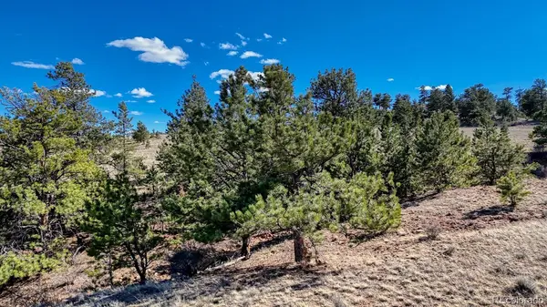 Lot 5090 & 5097 Arikara, Hartsel, CO 80449