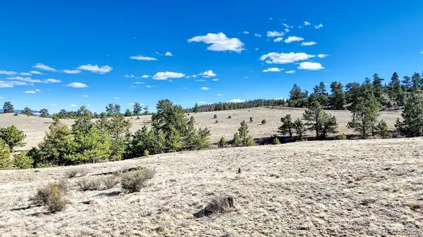 Lot 5090 & 5097 Arikara, Hartsel, CO 80449