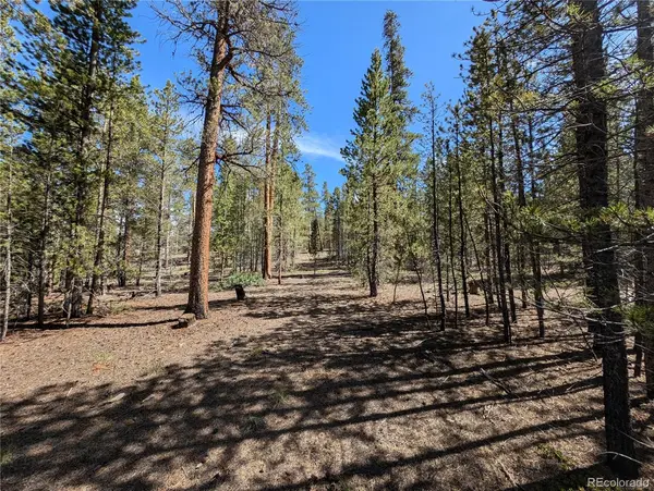 495 Birch DR, Twin Lakes, CO 81251