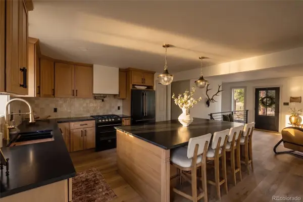 33691 Nova RD, Pine, CO 80470