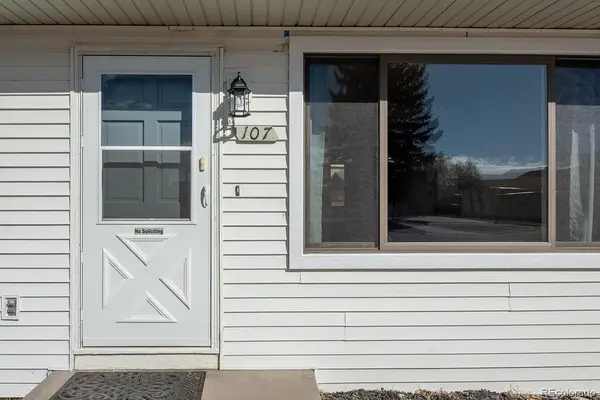 107 Dartmouth DR, Buena Vista, CO 81211