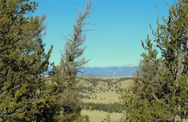 Lot 11 Willow ST, Hartsel, CO 80449