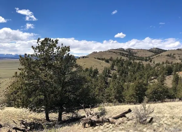 Lot 11 Willow ST, Hartsel, CO 80449