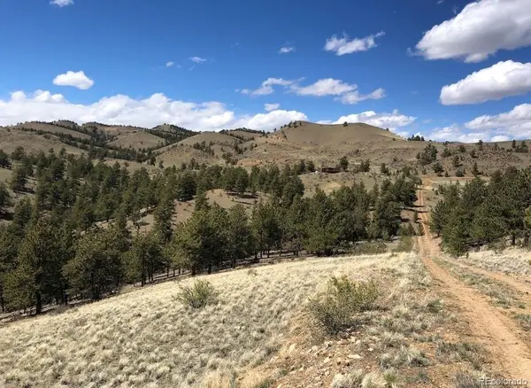 Lot 11 Willow ST, Hartsel, CO 80449