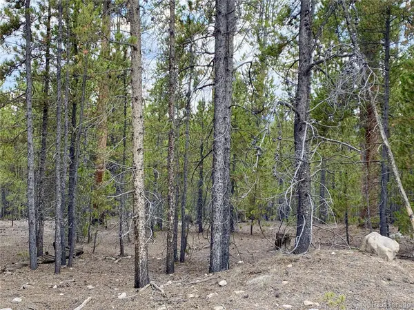340 Peak View DR, Twin Lakes, CO 80461