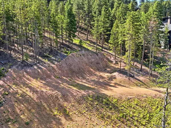 6824 Lynx Lair RD, Evergreen, CO 80439
