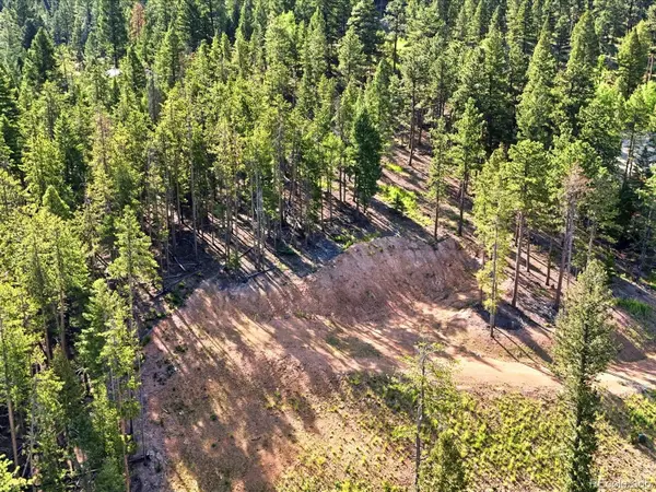 6824 Lynx Lair RD, Evergreen, CO 80439