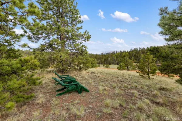 996 Spring Valley DR, Divide, CO 80814