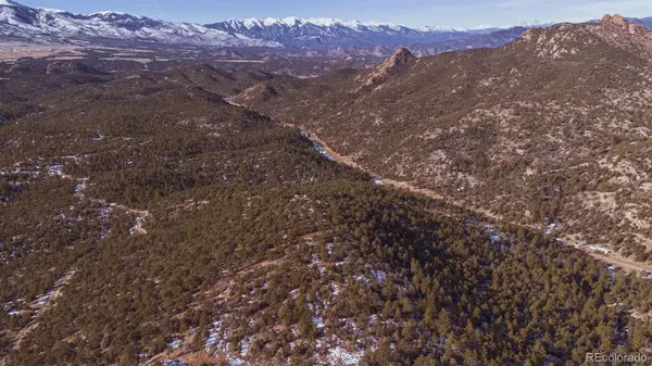 Gulch RD, Cotopaxi, CO 81223