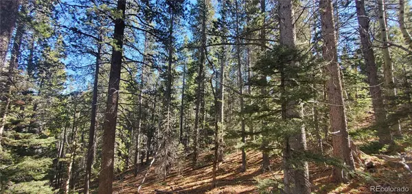 Lot 3023 & 3024 Bolwell LN, Fort Garland, CO 81133