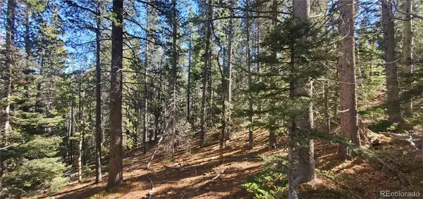 Lot 3023 & 3024 Bolwell LN, Fort Garland, CO 81133