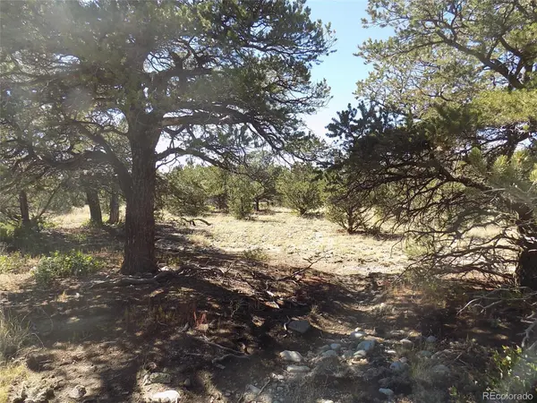 Little Bear RD, Mosca, CO 81146