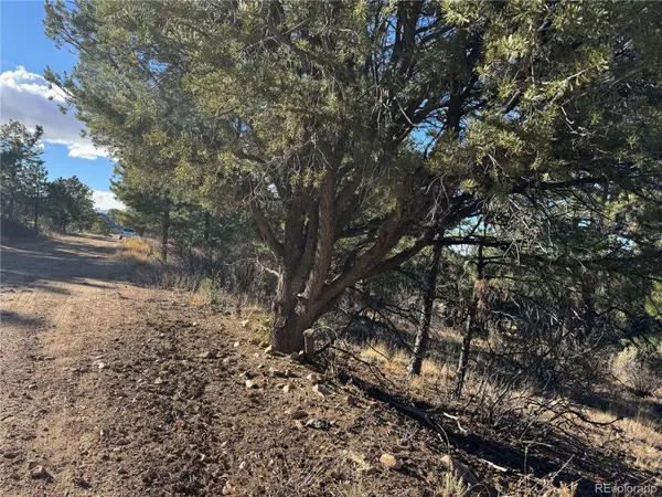 Lot 35 Stephens DR, Westcliffe, CO 81252