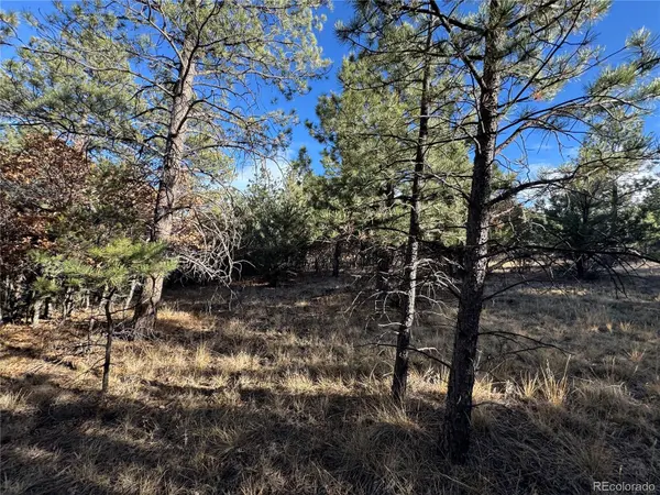 Lot 35 Stephens DR, Westcliffe, CO 81252