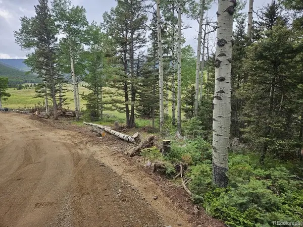 Lot 2841 Wendt LN, Fort Garland, CO 81133