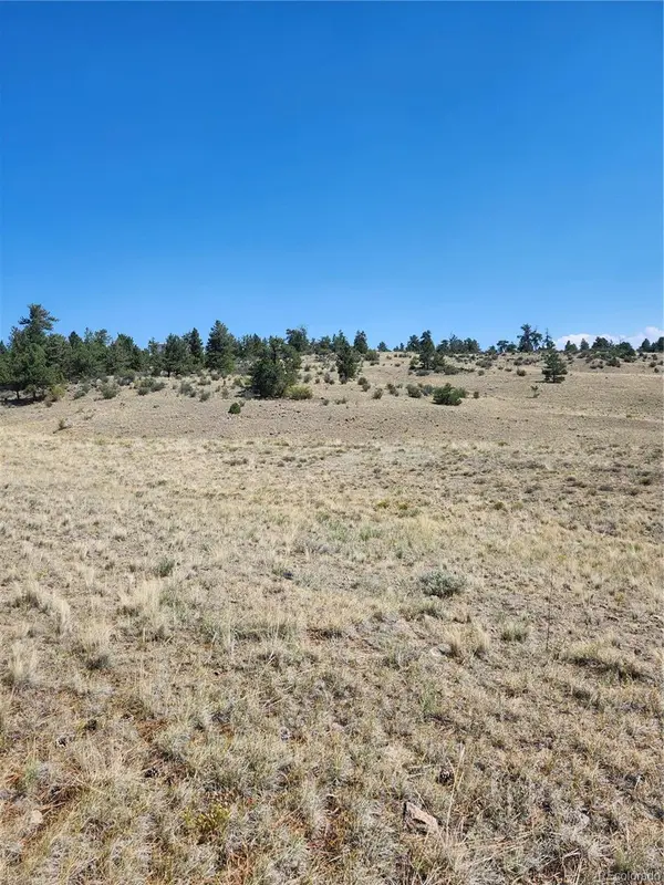 64 Bandana RD, Hartsel, CO 80449
