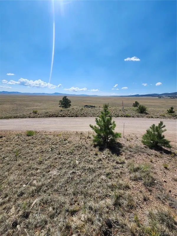 64 Bandana RD, Hartsel, CO 80449