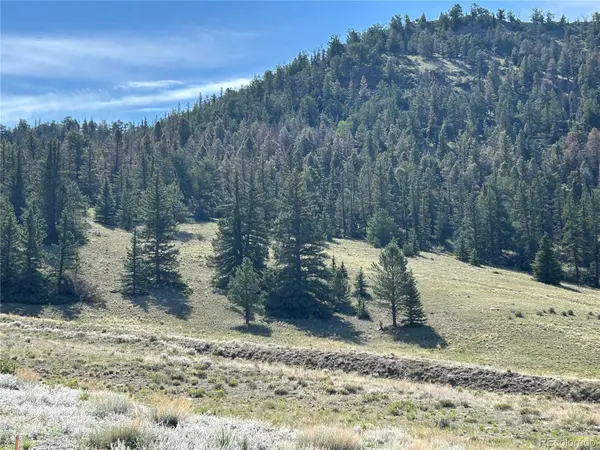 HWY 285/24, Buena Vista, CO 81211
