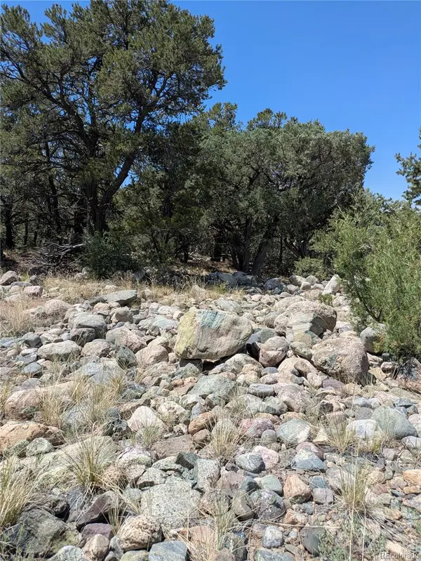 3729 Enchanted WAY, Crestone, CO 81131