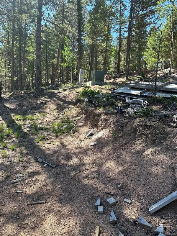 67 Gerka LN, Florissant, CO 80816