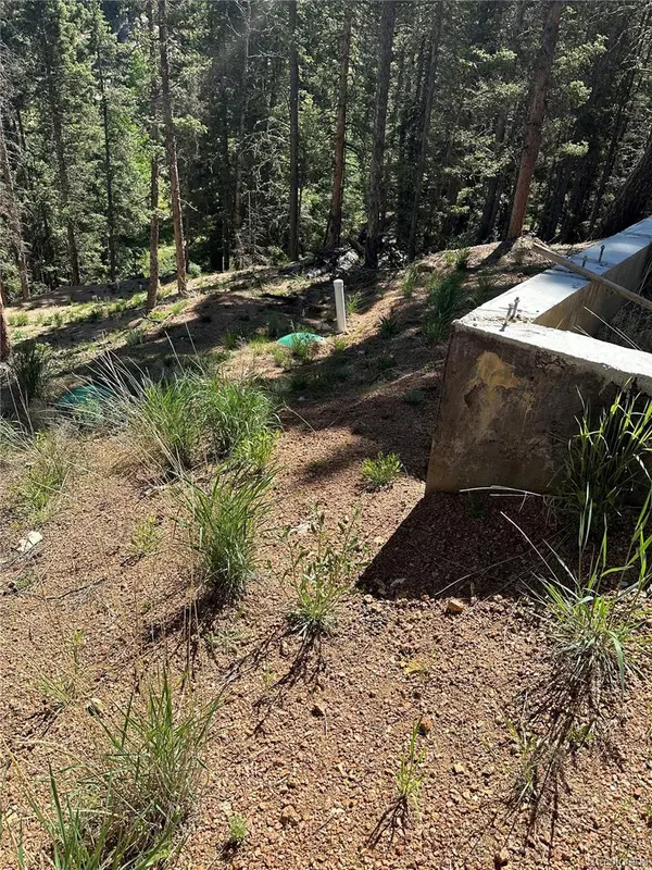 67 Gerka LN, Florissant, CO 80816
