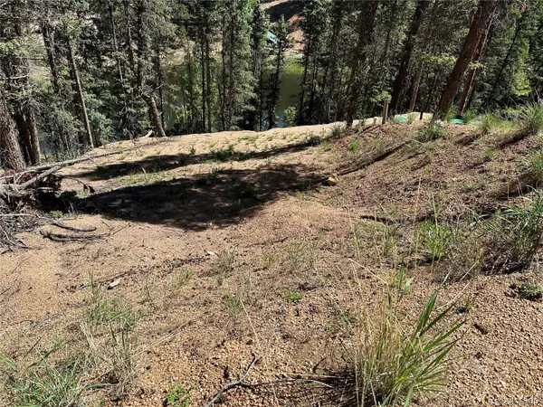 67 Gerka LN, Florissant, CO 80816