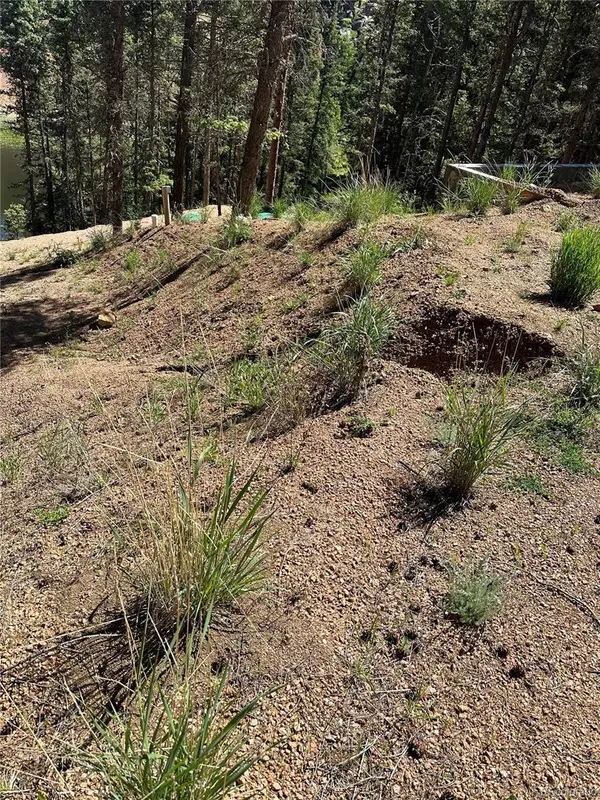 67 Gerka LN, Florissant, CO 80816