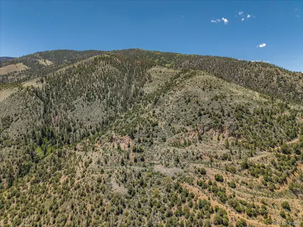 000 TBD County Road 115, Poncha Springs, CO 81242