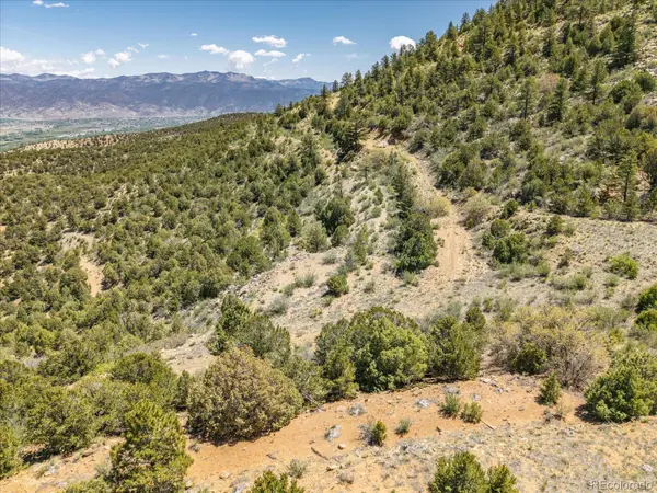 000 TBD County Road 115, Poncha Springs, CO 81242