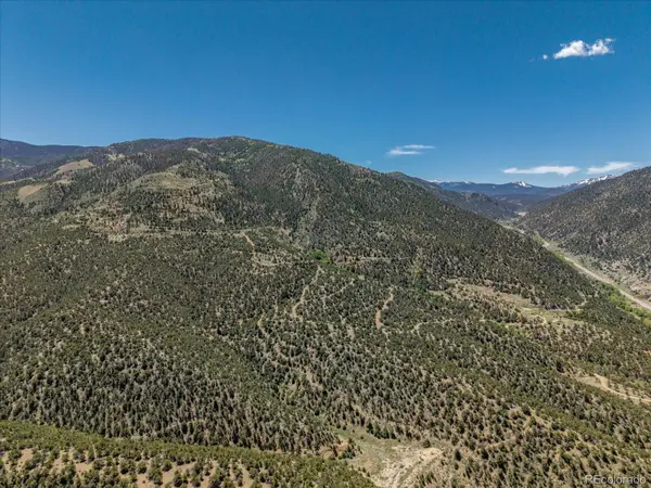 000 TBD County Road 115, Poncha Springs, CO 81242
