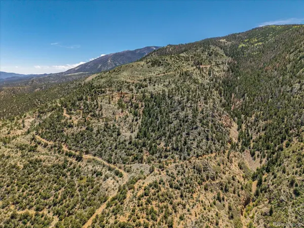 000 TBD County Road 115, Poncha Springs, CO 81242
