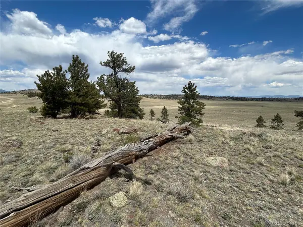 591 Singletree CT, Hartsel, CO 80449