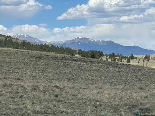 591 Singletree CT, Hartsel, CO 80449