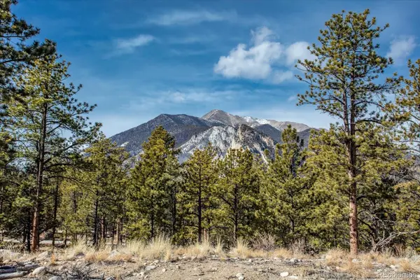 21160 Skyline DR, Nathrop, CO 81236