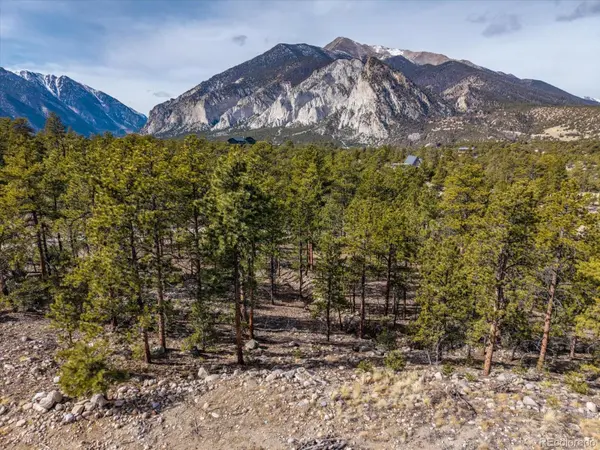21160 Skyline DR, Nathrop, CO 81236