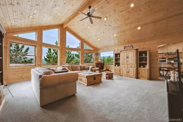 35 Pickle PT, Black Hawk, CO 80422