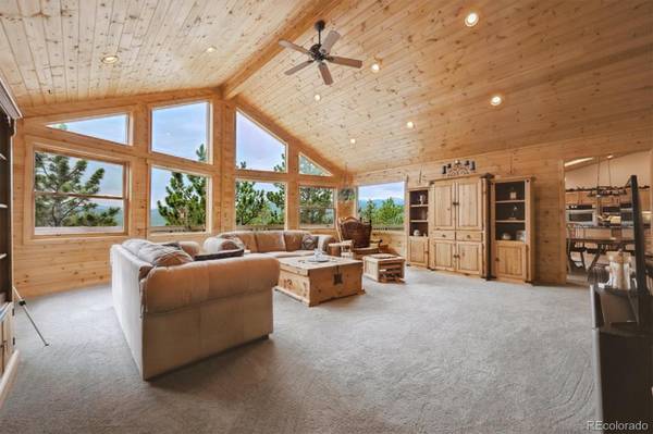 35 Pickle PT, Black Hawk, CO 80422