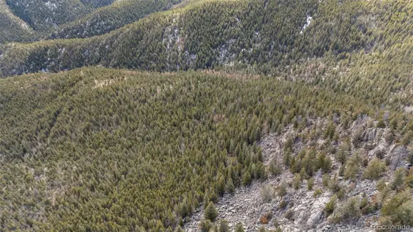 Alps Mountain, Idaho Springs, CO 80452
