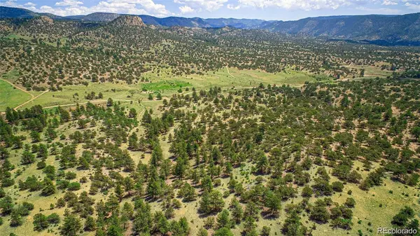 Lot 8 Big Sandy Estaes, Buena Vista, CO 81211