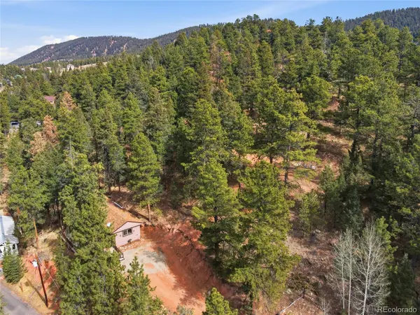 19253 E US Highway 24, Woodland Park, CO 80863