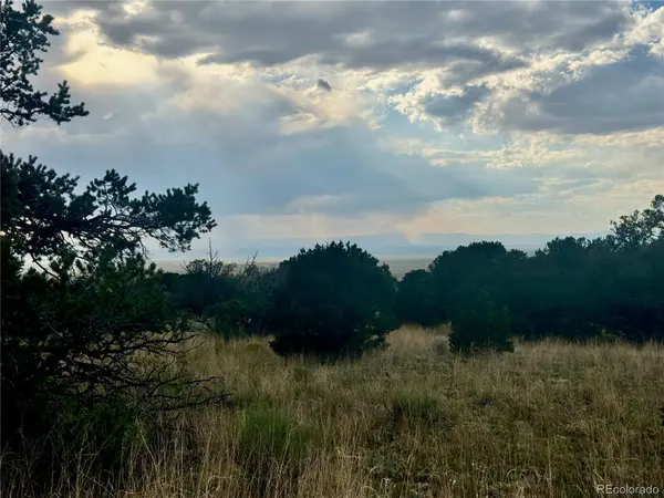 00015 Clear Brook PL, Mosca, CO 81146