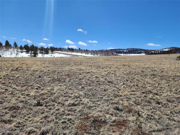 244 Brahma CIR, Hartsel, CO 80449