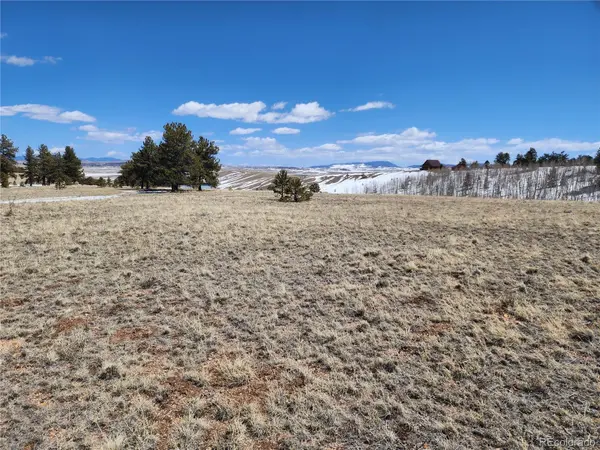 244 Brahma CIR, Hartsel, CO 80449