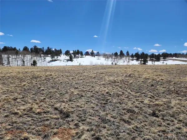 244 Brahma CIR, Hartsel, CO 80449