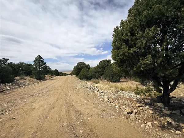 76 Mill Run RD, Mosca, CO 81146
