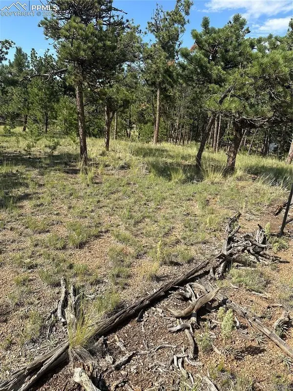 315 Thunder Ridge RD, Florissant, CO 80816