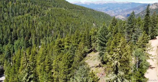 0 Blue Bell LN, Idaho Springs, CO 80452